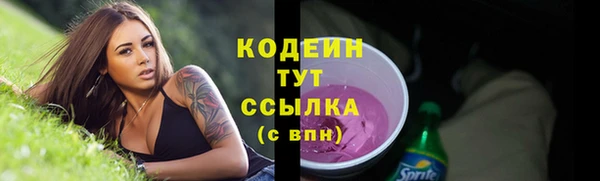 дживик Переславль-Залесский