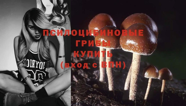 mdpv Абинск