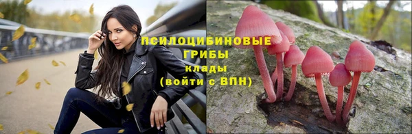 mdpv Абинск