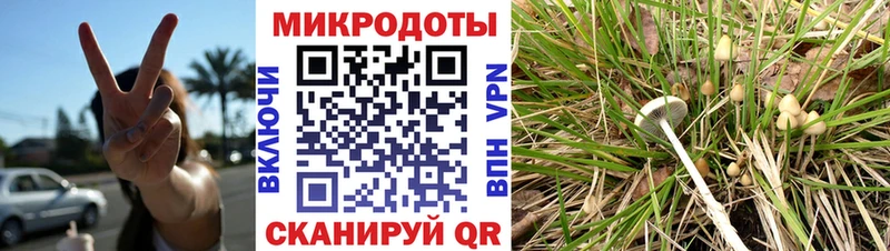 Псилоцибиновые грибы GOLDEN TEACHER MEGA tor Зарайск